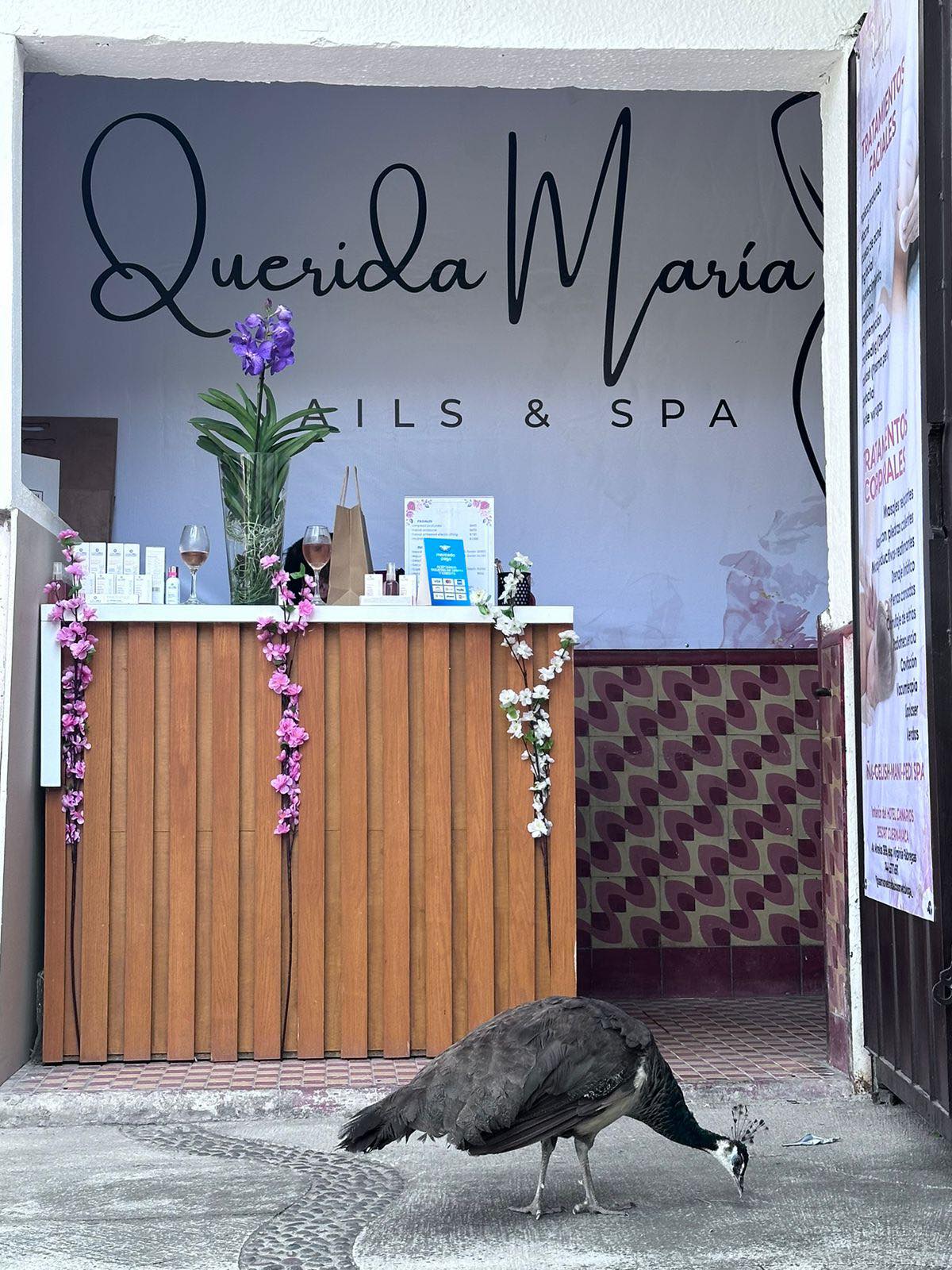 Entrada de Querida María Nails & Spa